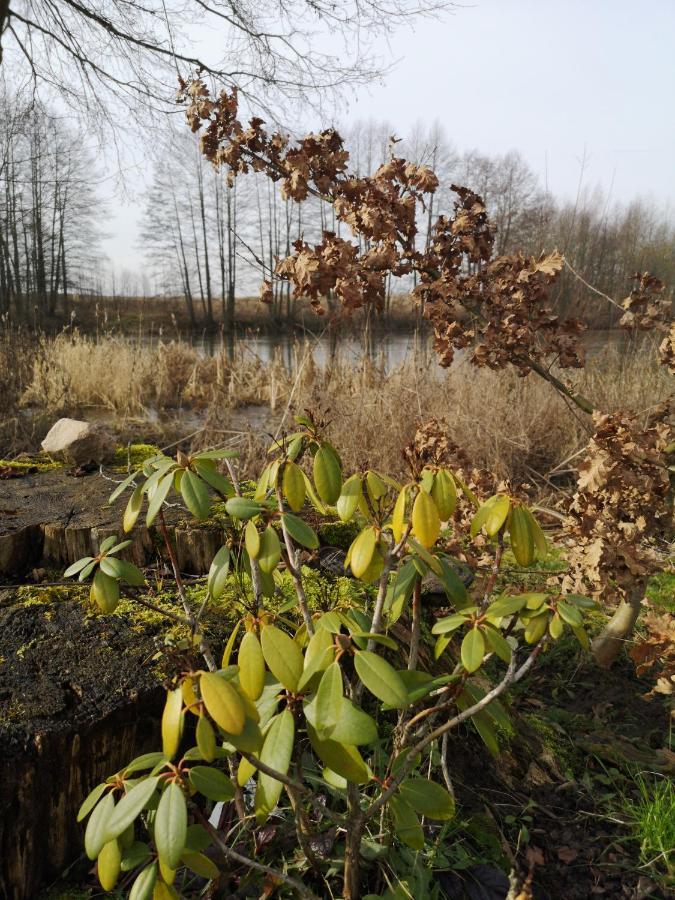 Mazurski Staw Gołdap Buitenkant foto